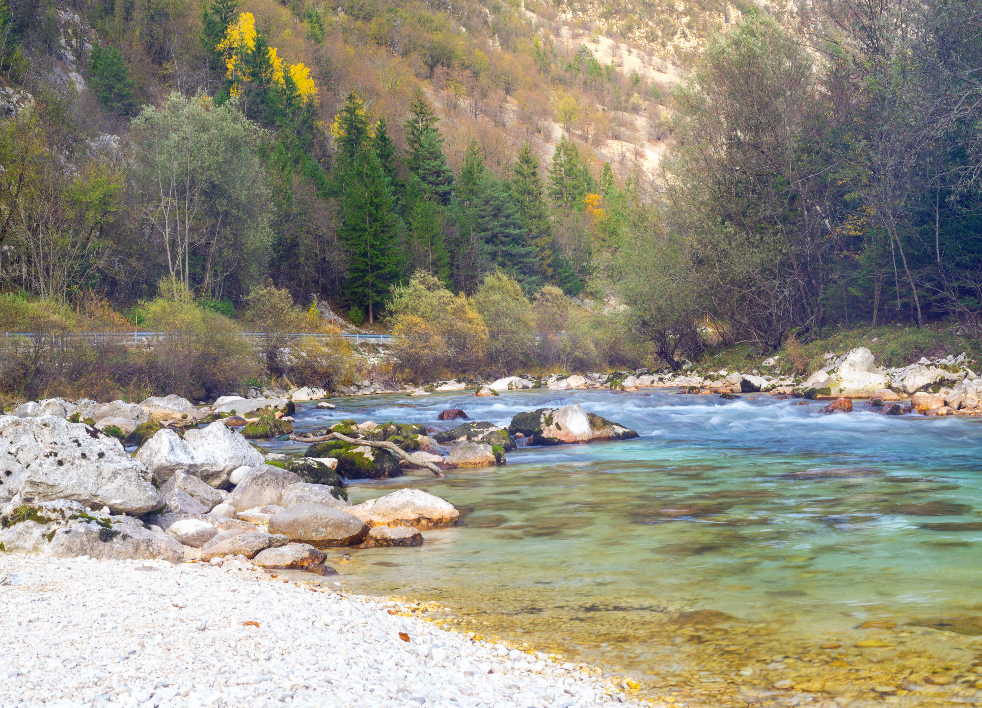 Počitnice in Bovec poleti